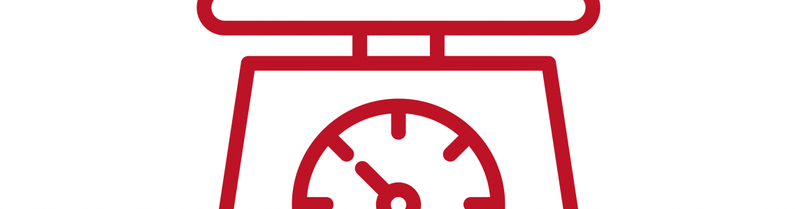 Food Scale